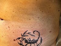 0810-3480